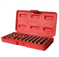 JGO. 15 PUNTAS TORX T20 a T55