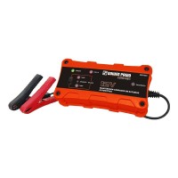 MANTENEDOR - CARGADOR DE BATERIAS D.PAGIO 12Vcc - 1/2 Amper