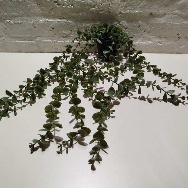 CAIDA HOJA CHICA CON MACETA 60CM