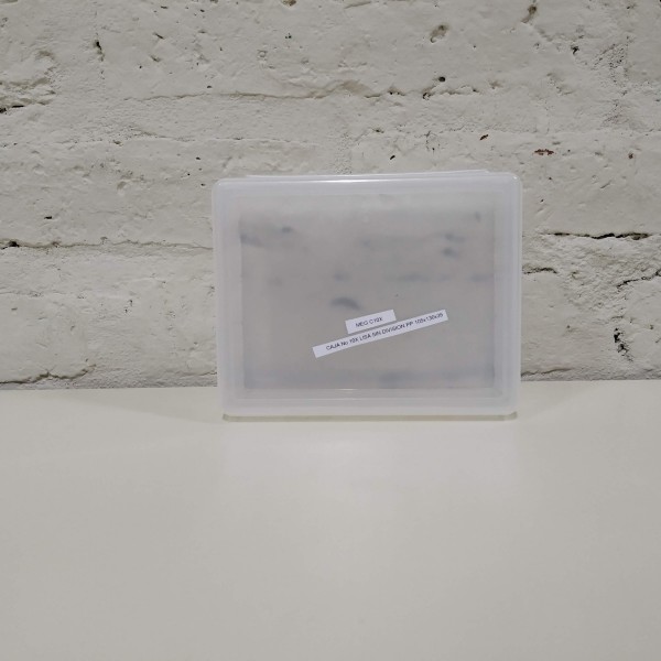 CAJA No 10X LISA SIN DIVISION PP 105x130x35