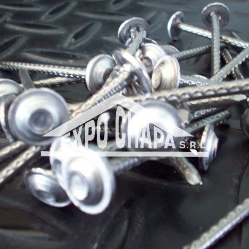 CLAVOS