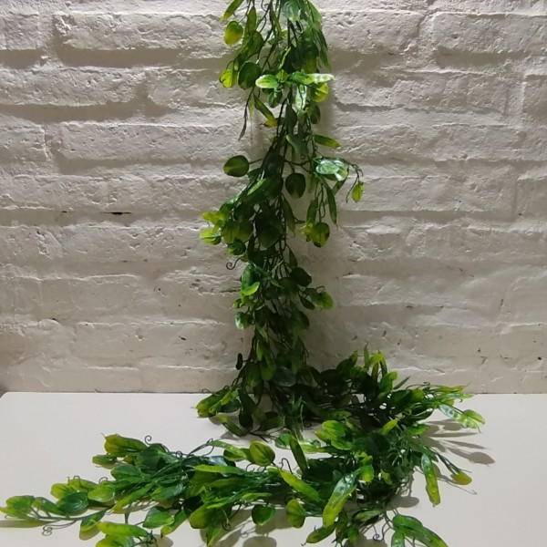 GUIA ARVERJILLA 160CM