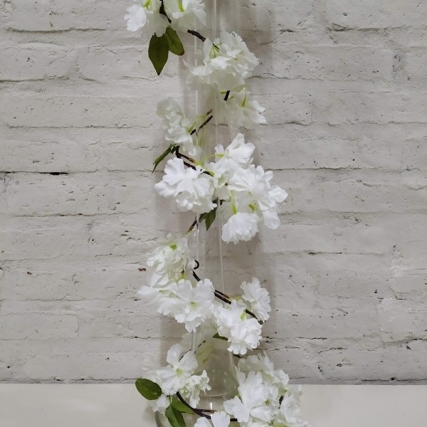GUIA SAKURA 180CM