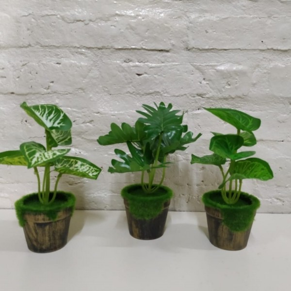 PLANTITA CON MACETA