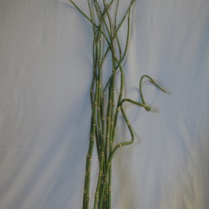 vara bambu 115cm