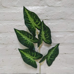 vara caladium 50cm