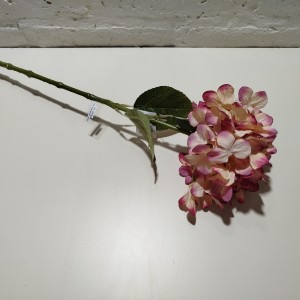 vara hortensia 60cm